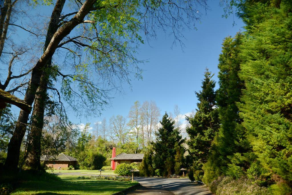 Cabanas Altos Del Lago Pucon Bagian luar foto