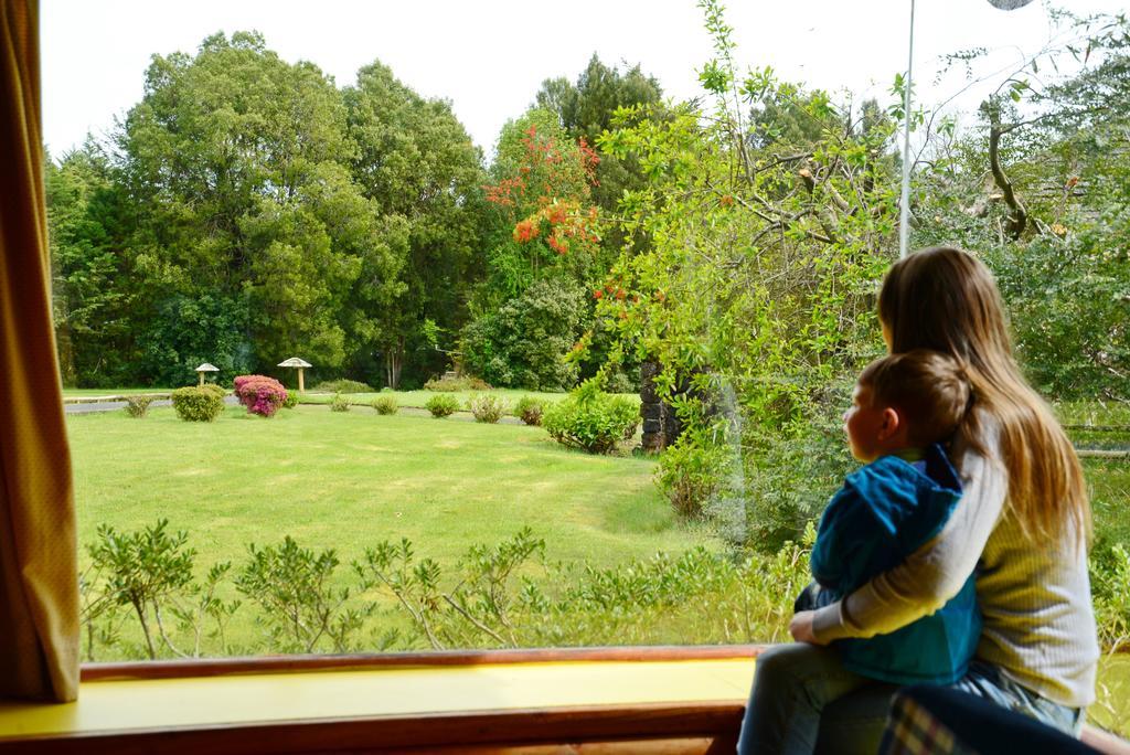 Cabanas Altos Del Lago Pucon Bagian luar foto