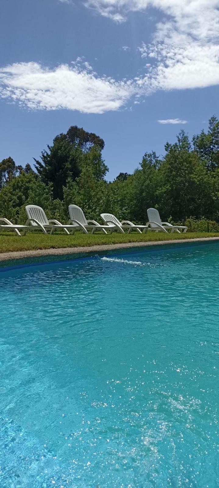 Cabanas Altos Del Lago Pucon Bagian luar foto